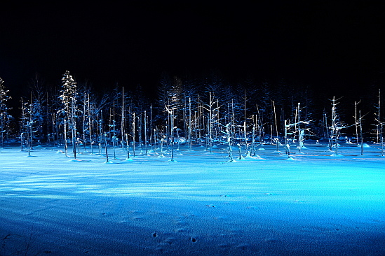 f0037227_2015290.jpg