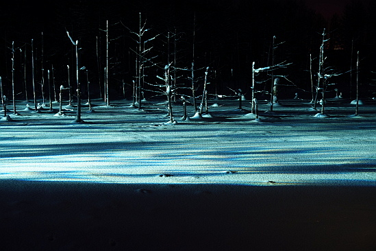f0037227_2015931.jpg