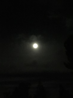 b0198033_16151137.jpg
