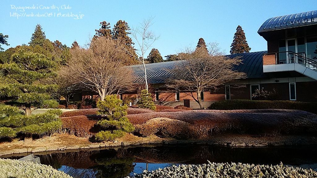 e0052135_12272016.jpg