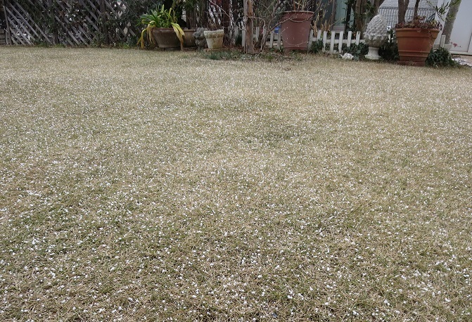 b0301236_20402139.jpg