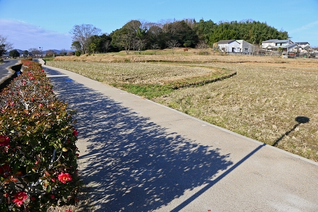 a0242438_18005049.jpg
