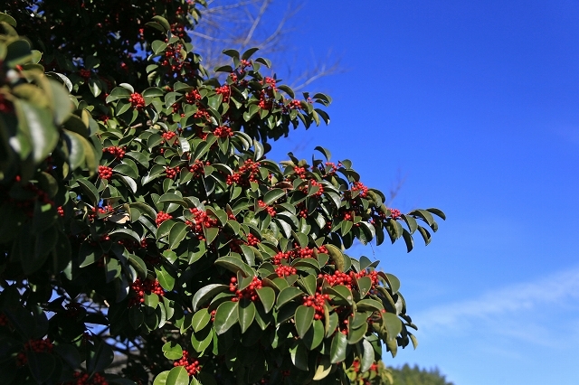 a0242438_18015290.jpg