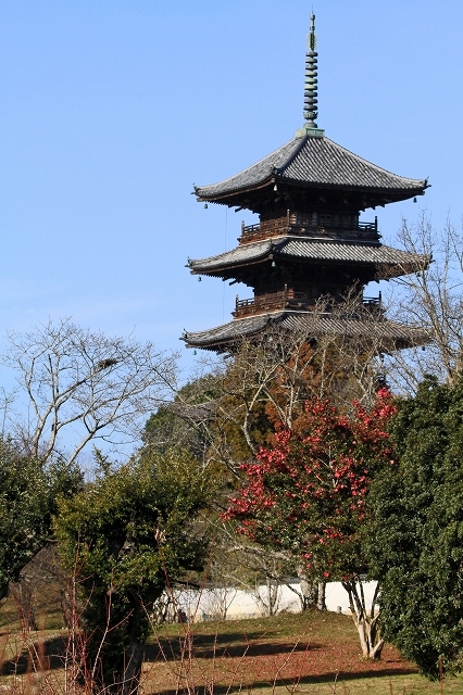 a0242438_18015949.jpg