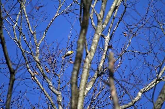 a0242438_18015965.jpg