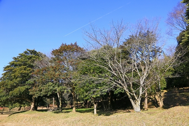 a0242438_18015974.jpg
