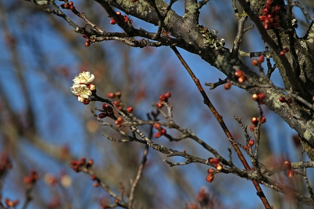 a0242438_18020083.jpg