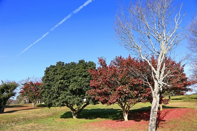a0242438_18030855.jpg