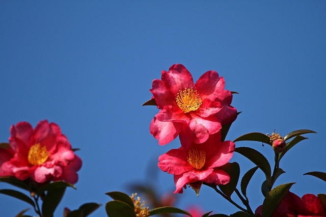 a0242438_18030945.jpg