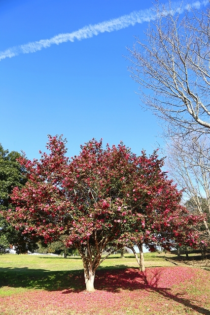 a0242438_18030986.jpg