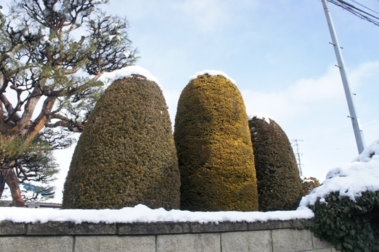 f0368538_09285290.jpg