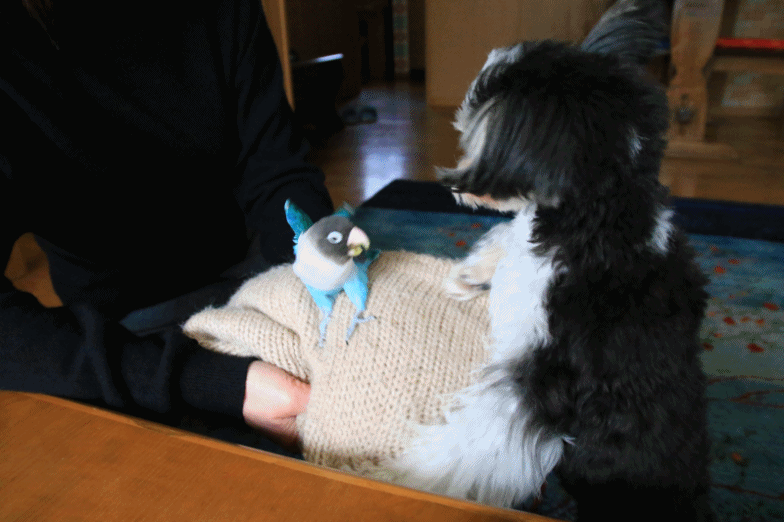 c0145250_10270721.gif