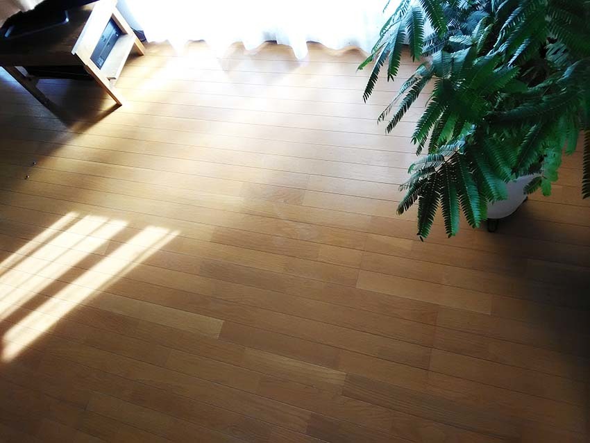 c0366058_23373857.jpg