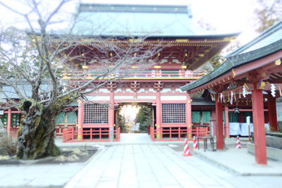 c0050264_22595665.jpg