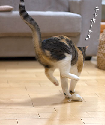 a0119470_1441062.jpg