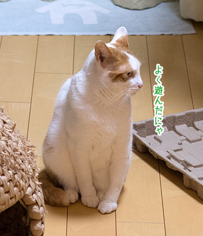 a0119470_144335100.jpg