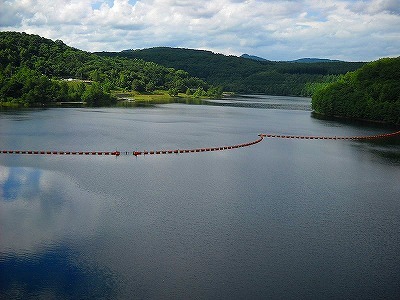 b0171771_20054347.jpg