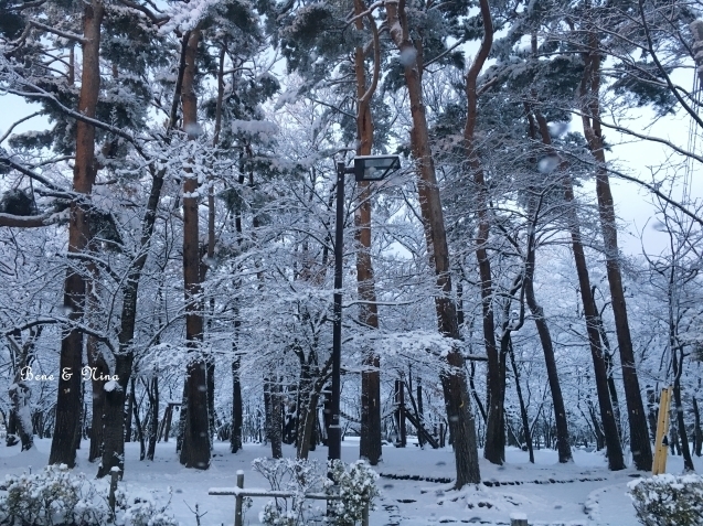 c0283778_14594930.jpg