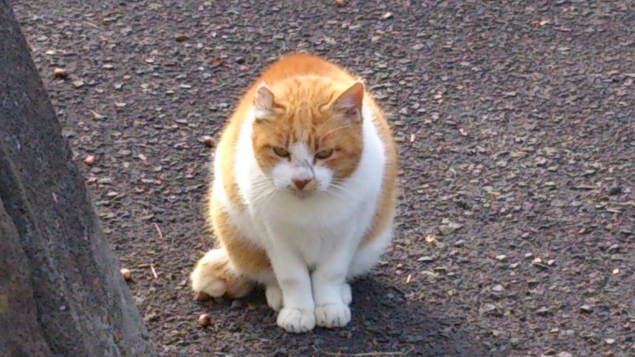 b0039898_2010112.jpg