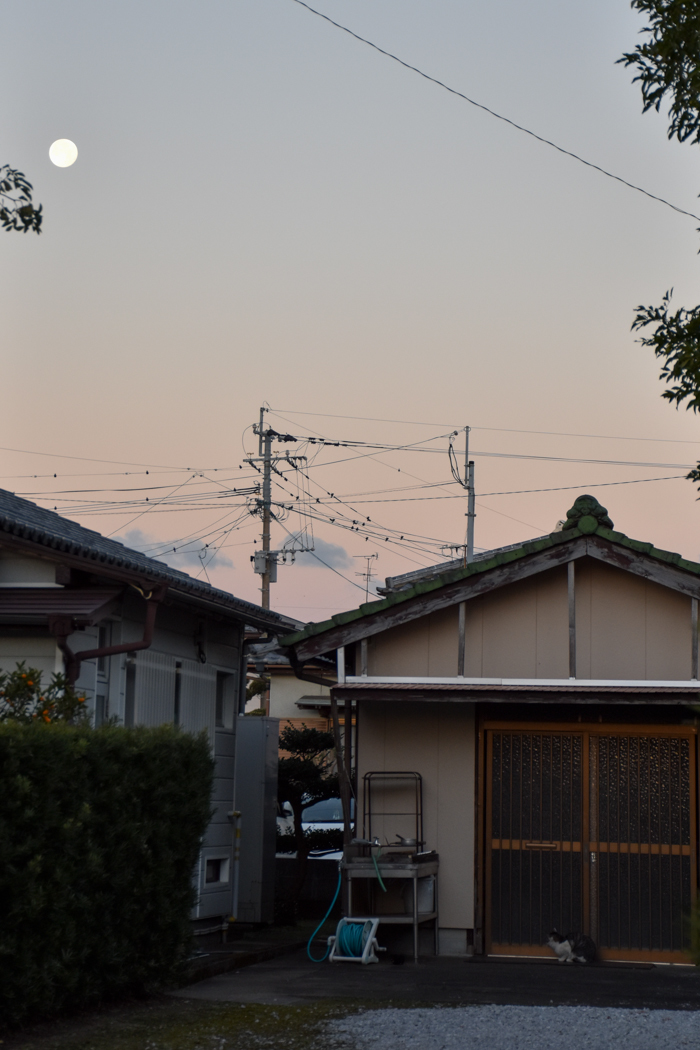 c0049299_22130707.jpg