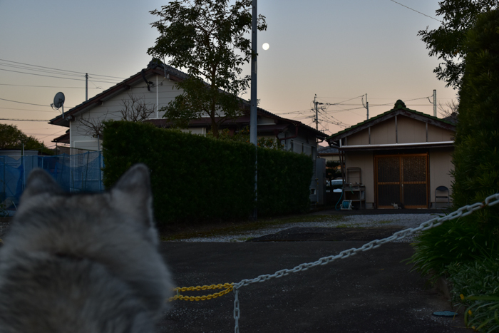 c0049299_22135422.jpg