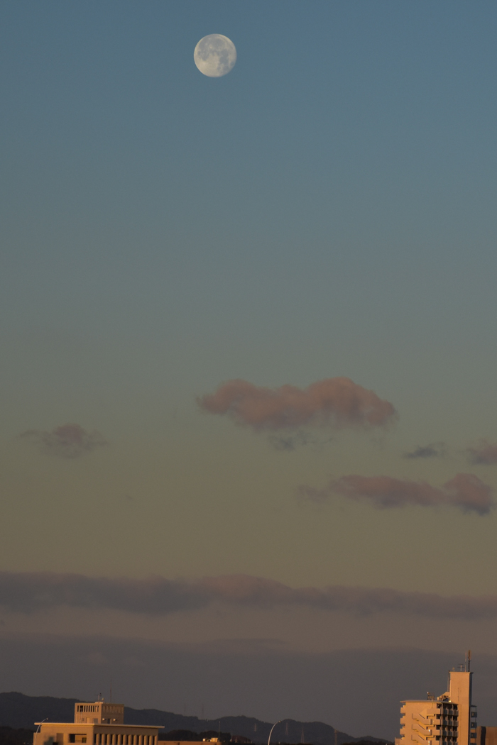 c0049299_22183051.jpg