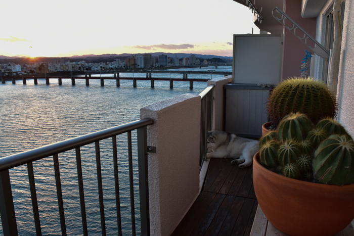 c0049299_22350200.jpg