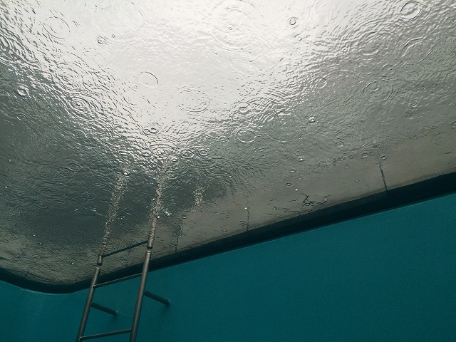 e0209900_113313.jpg