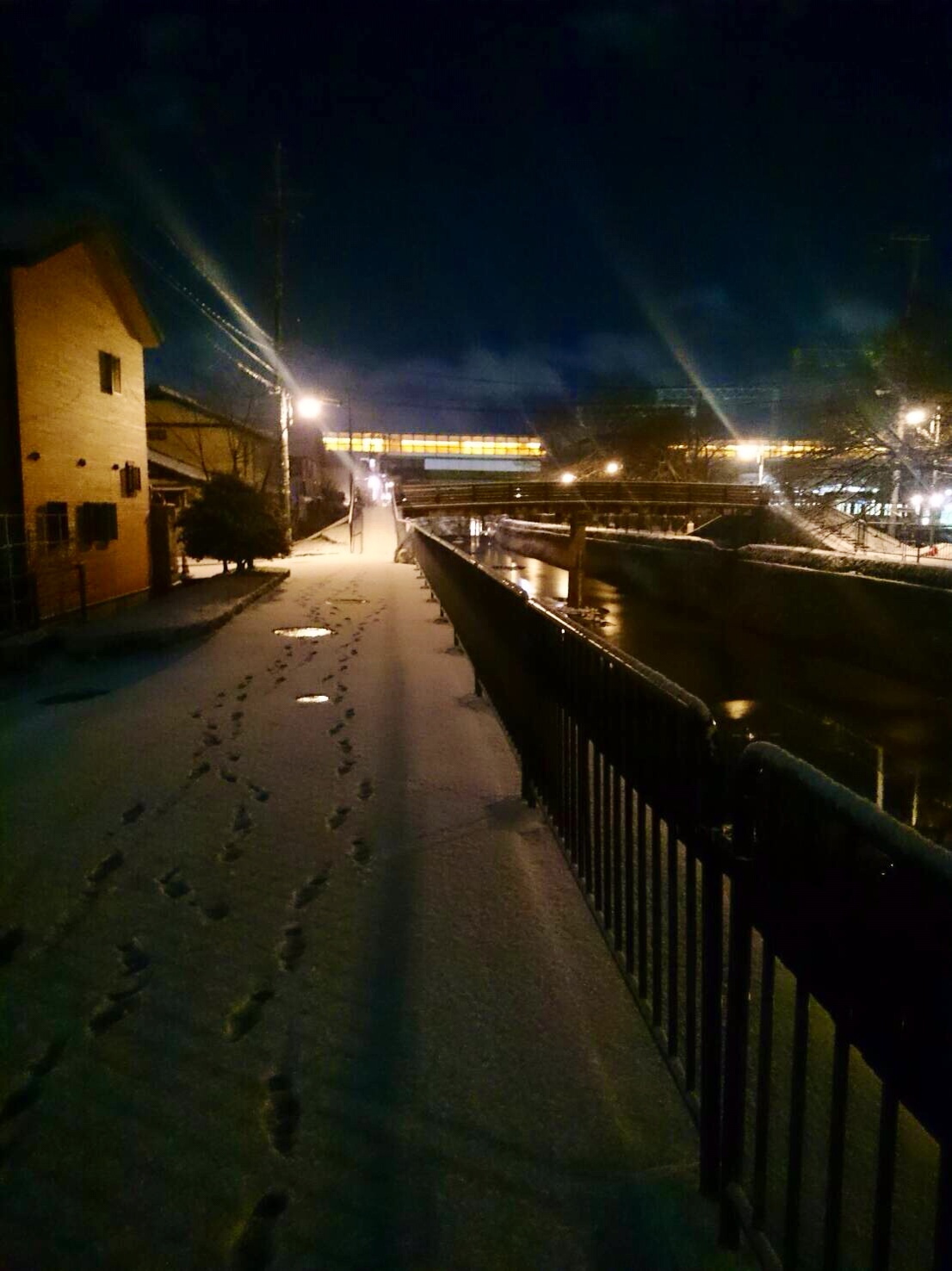 a0161408_2301759.jpg