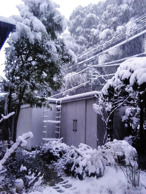 c0129314_81687.jpg