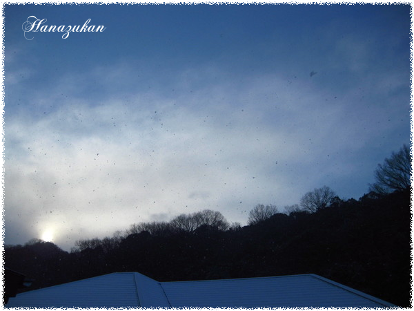 c0352015_11074304.png