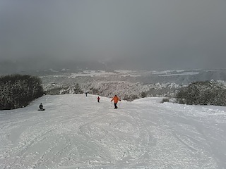 c0359615_21363978.jpg