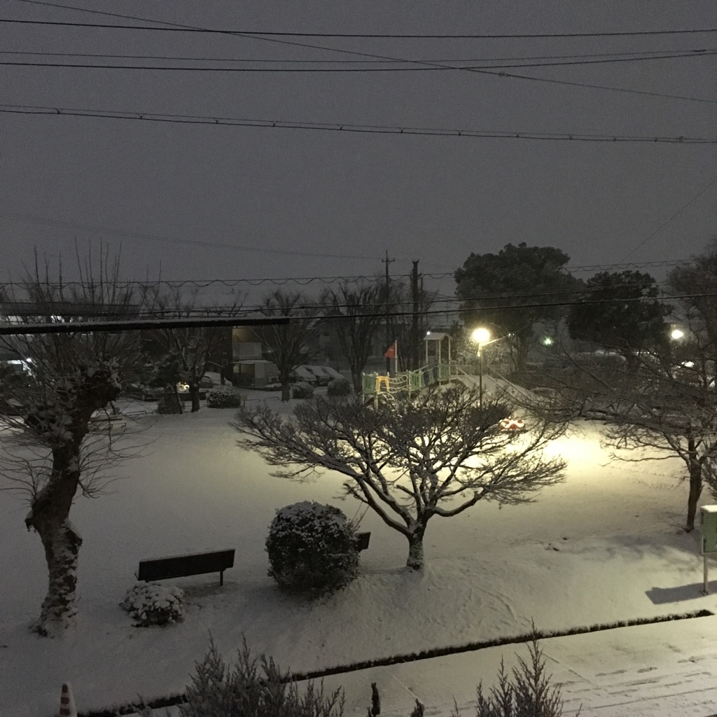 b0154116_1563357.jpg