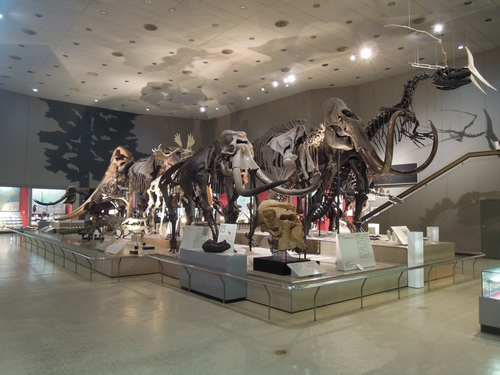 e0166016_20512855.jpg