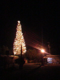 f0036223_14374486.jpg