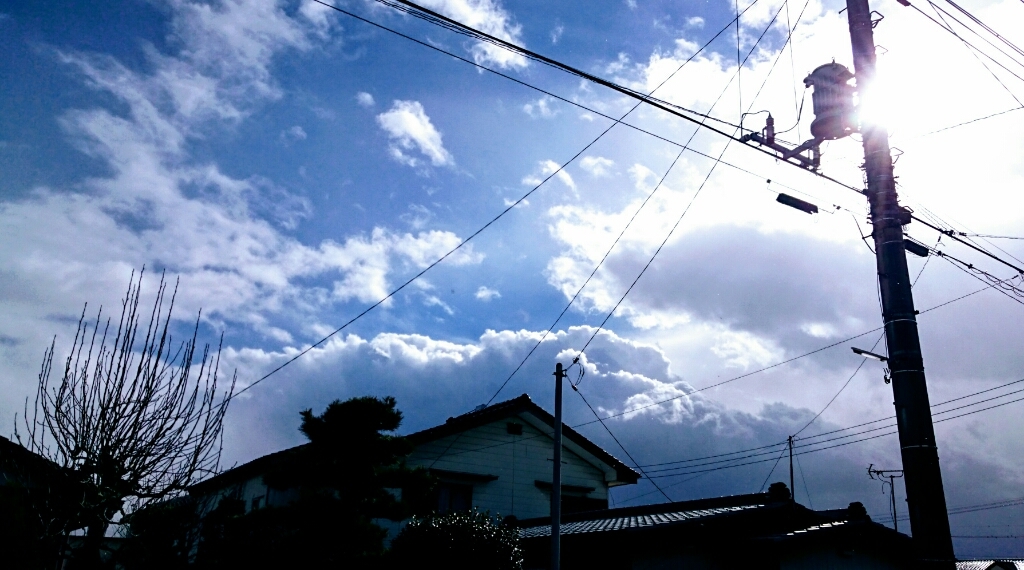 b0251624_16105671.jpg