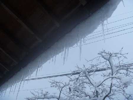 b0246036_1558098.jpg