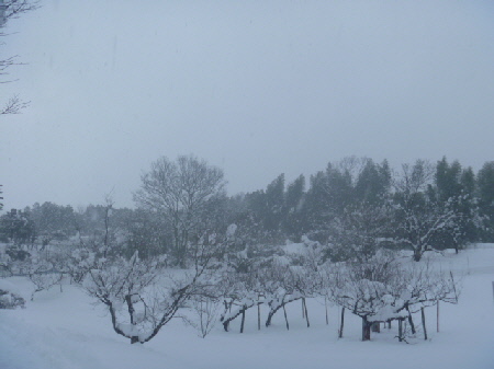 b0246036_1623768.jpg