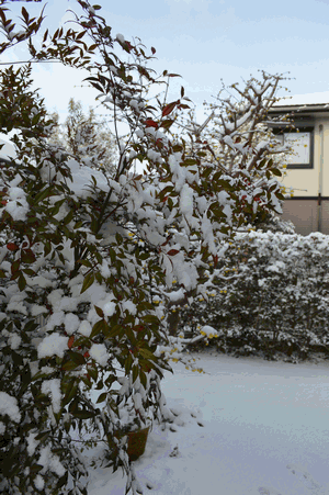 c0136736_23115082.gif