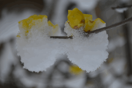 c0136736_23122726.gif