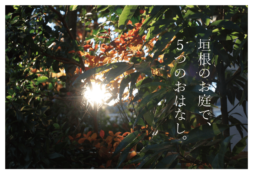 e0056237_19084619.png