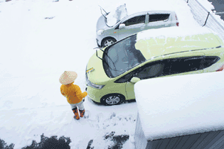 f0368538_16425983.gif