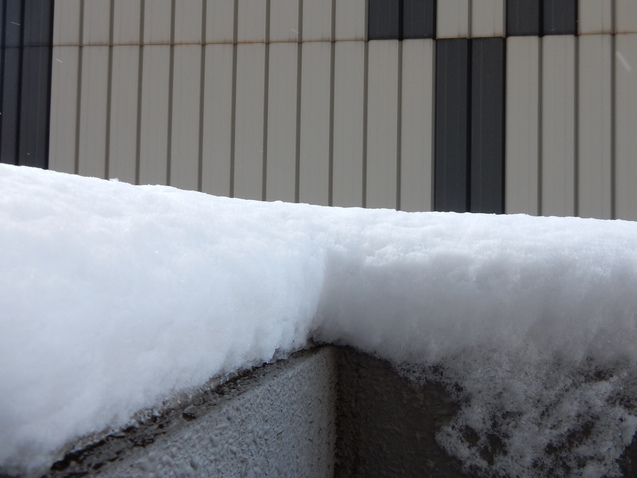 f0247039_17175065.jpg