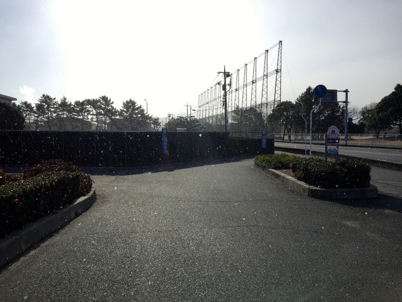 b0057140_17550868.jpg
