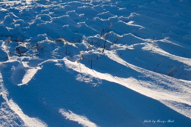 e0173743_16173676.jpg