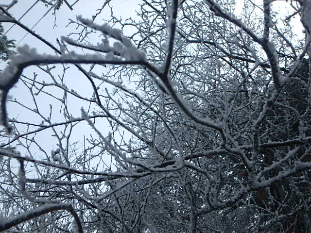 f0334143_21111540.jpg