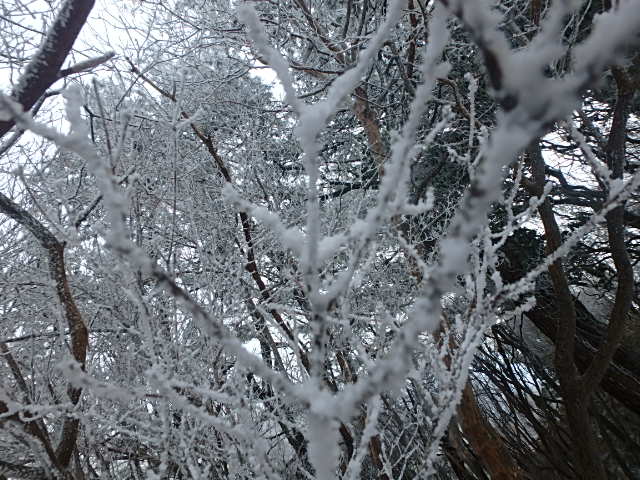 f0334143_21112419.jpg