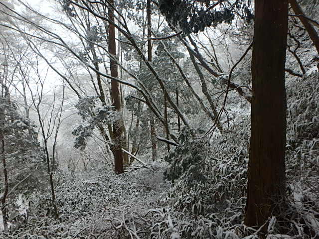 f0334143_21142410.jpg