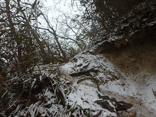 f0334143_21154562.jpg