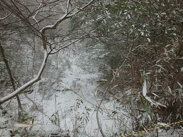 f0334143_21161929.jpg